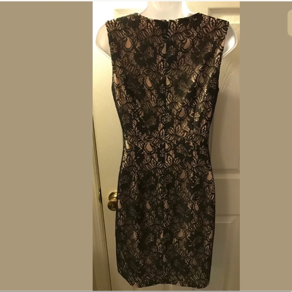 BOSTON PROPER Lace Pink Nude Black Shift Dress Cocktail Wedding - Picture 6 of 10